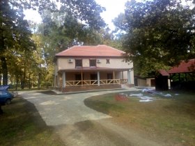 Steel tile roofing